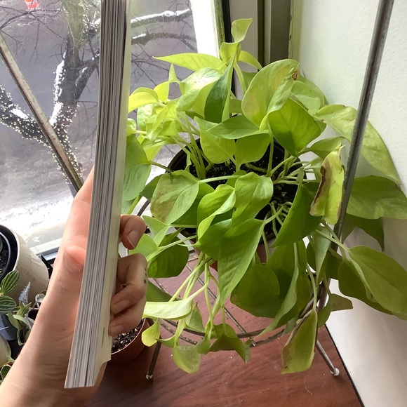 Collective poetry book (fr) - poésie en français - Picture 2 of 11